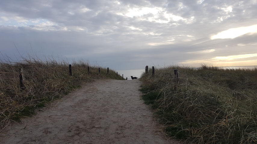 Video-Vorschau: Hier am Strand-Original vom Strand