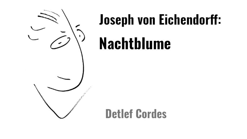 Video Vorschau